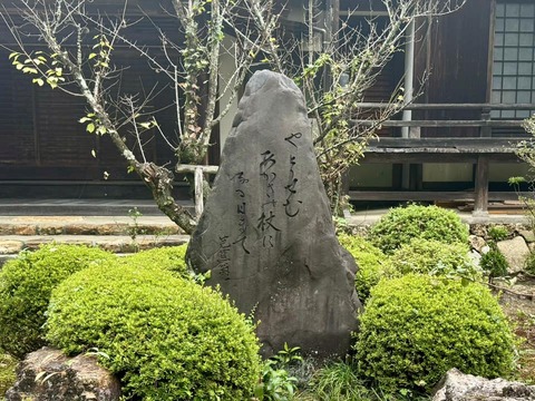 461973637_8116947151748601_7071417819169921315_n