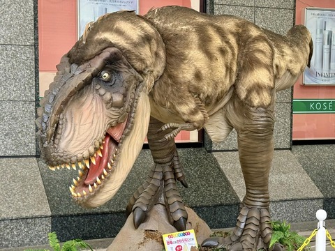 461928814_8117874054989244_78033069567218973_n