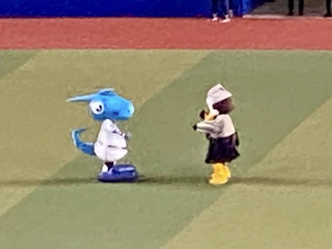 357042930_6068424163267587_9058531824149196508_n