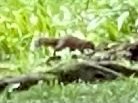 296114475_5043321119111235_6305988338512184857_n