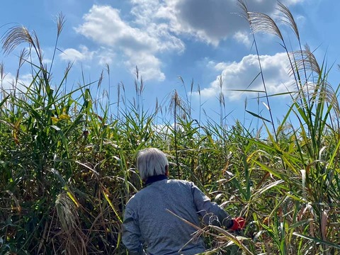 246440240_4189973494446006_6235483417204106265_n