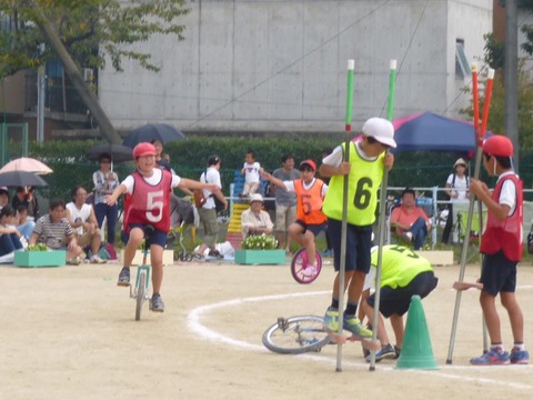 14291923_970244416418946_7207859384512241980_n