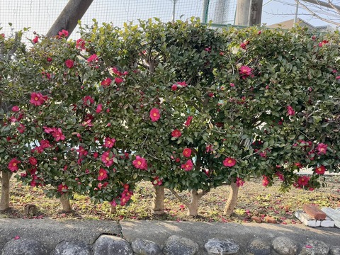 477177592_8911286042314704_6642807910803271364_n