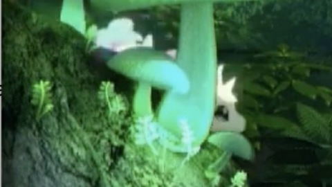 19-10-05-08-18-57-386_deco