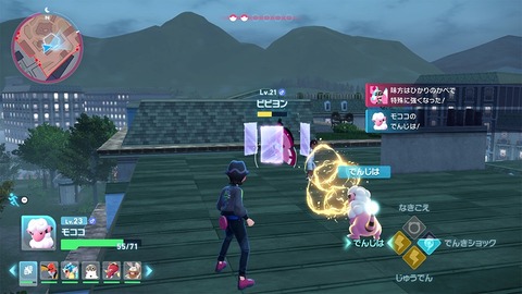 za_royale_img_18