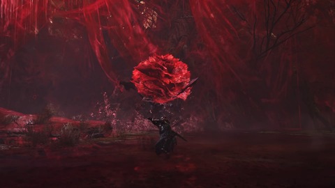 24-08-21-11-49-04-115_deco