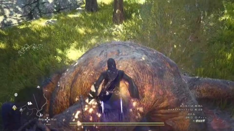 24-06-14-21-38-42-436_deco