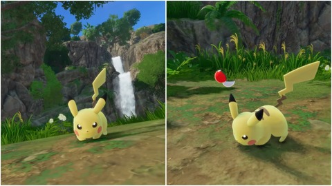 PhotoCollage_1772329699072