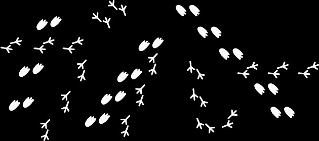 救助隊dx 公式の ポケモンsosチャレンジ で公開されたふしぎなメールを一挙ご紹介 となりのモンスター屋さん となもん モンハンライズ ポケモン剣盾 特撮 ゲーム関連ブログ