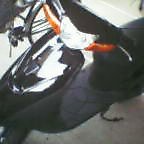 20041110_1347_000.jpg