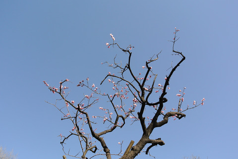 20260308yushima04