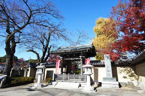 20241210daisyouin01