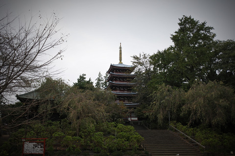 20161022kitakogane01