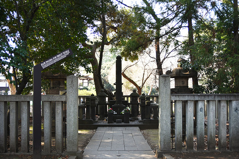 20250302ueno06