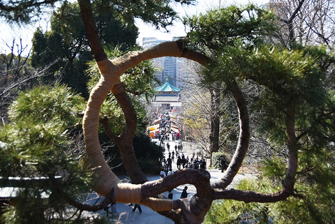 20250302ueno01