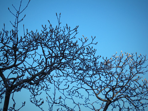 20150103shichifukujin04