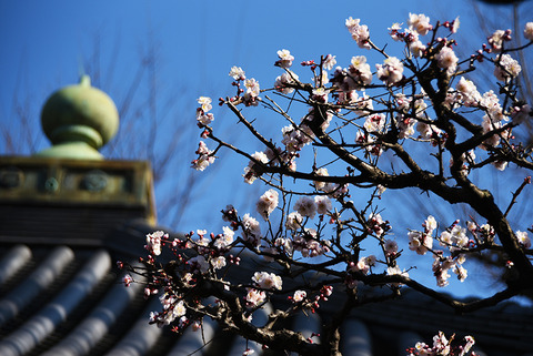 20250302ueno03