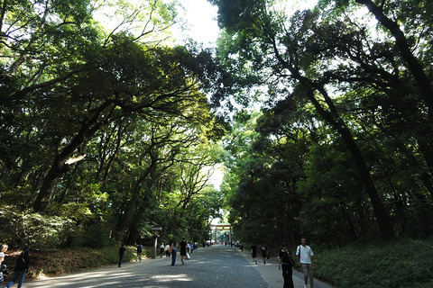 20250928meijijingu04