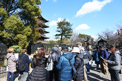 20250309ueno03