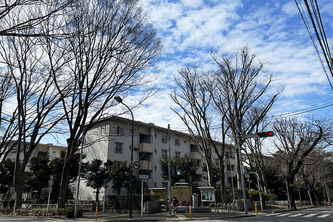 20230303kanegasaku02