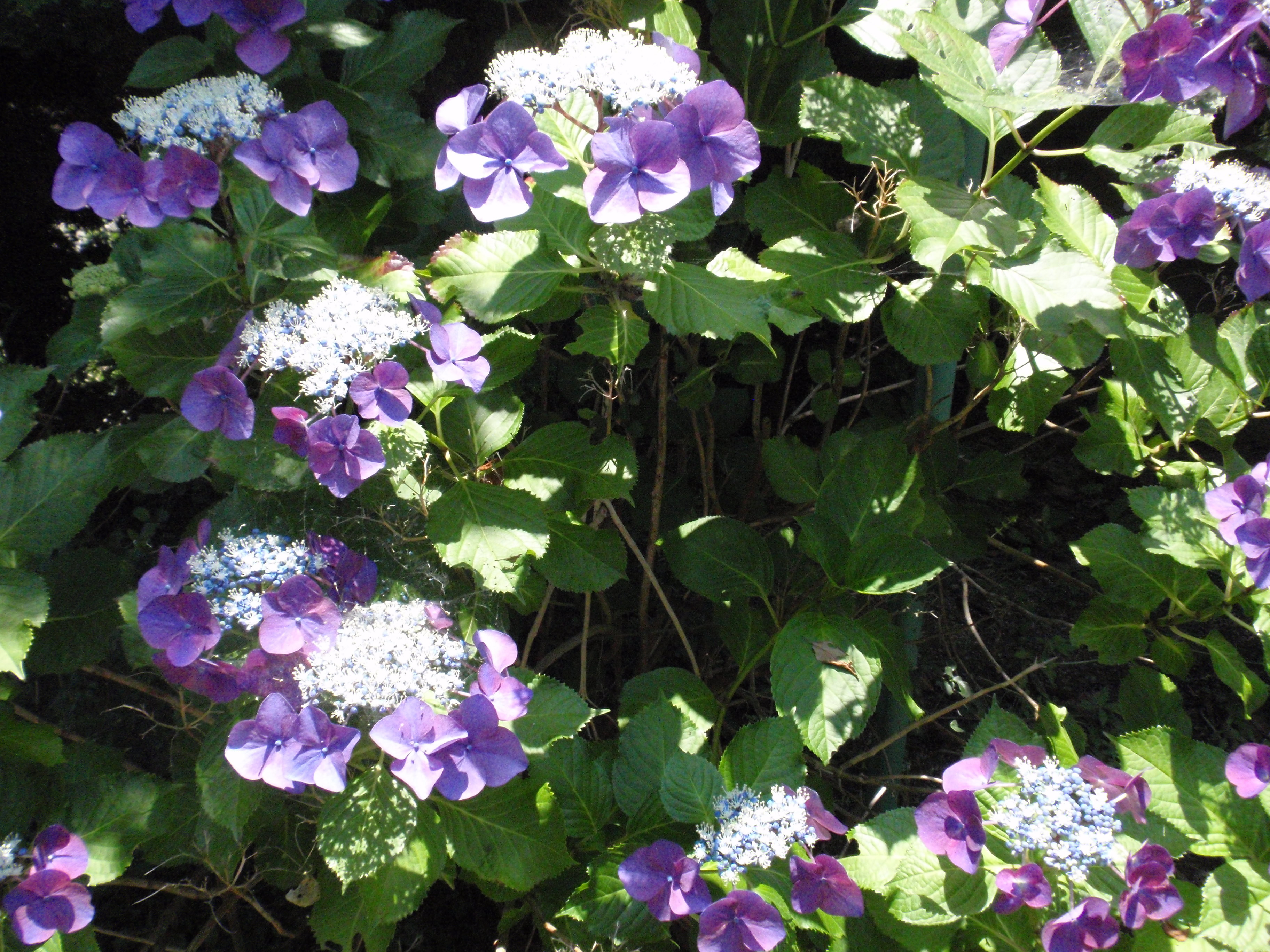 ダーリンはフランス人♡南フランスでホテル経営をしているフランス在住バブけいこのブログ♪