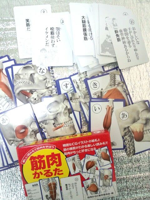筋肉かるた の巻き 恵比寿バランス日記 筋肉かるた の巻き 恵比寿バランス日記