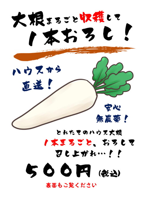 pop01