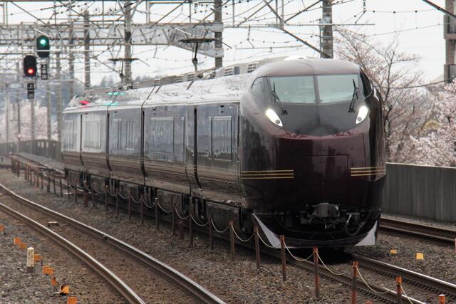 E655系「なごみ」～東北本線を行く山形ツアーをキャッチ