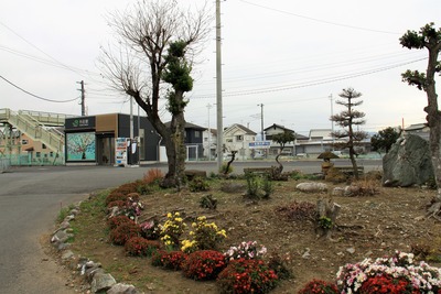 tansho-008