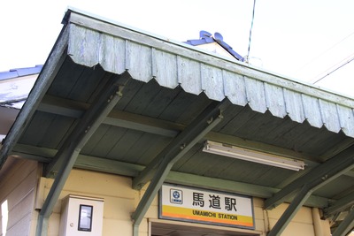 umamichi-002