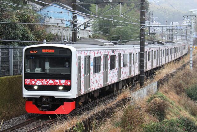 伊豆急行・3000系「アロハ電車」～走ルンです電車、京浜東北、房総を
