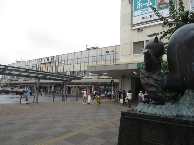 Jr大宮駅 前編 路線も人も車両をも集める一大ターミナル まつもとあずさ が3番線にまいります