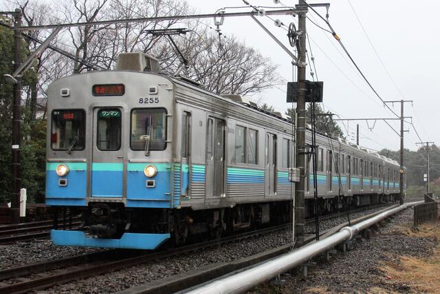 伊豆急行・8000系～待ちに待ったクロスシートの元東急車