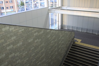 iwakiri-004
