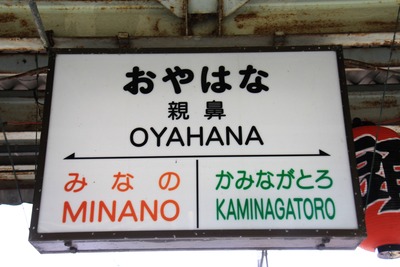 oyahana-010