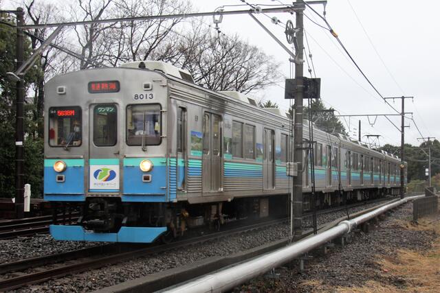 伊豆急行・8000系～待ちに待ったクロスシートの元東急車