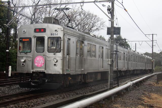 伊豆急行・8000系～待ちに待ったクロスシートの元東急車