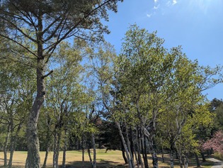 PXL_20250429_000801319