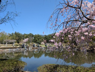 PXL_20250426_030438782