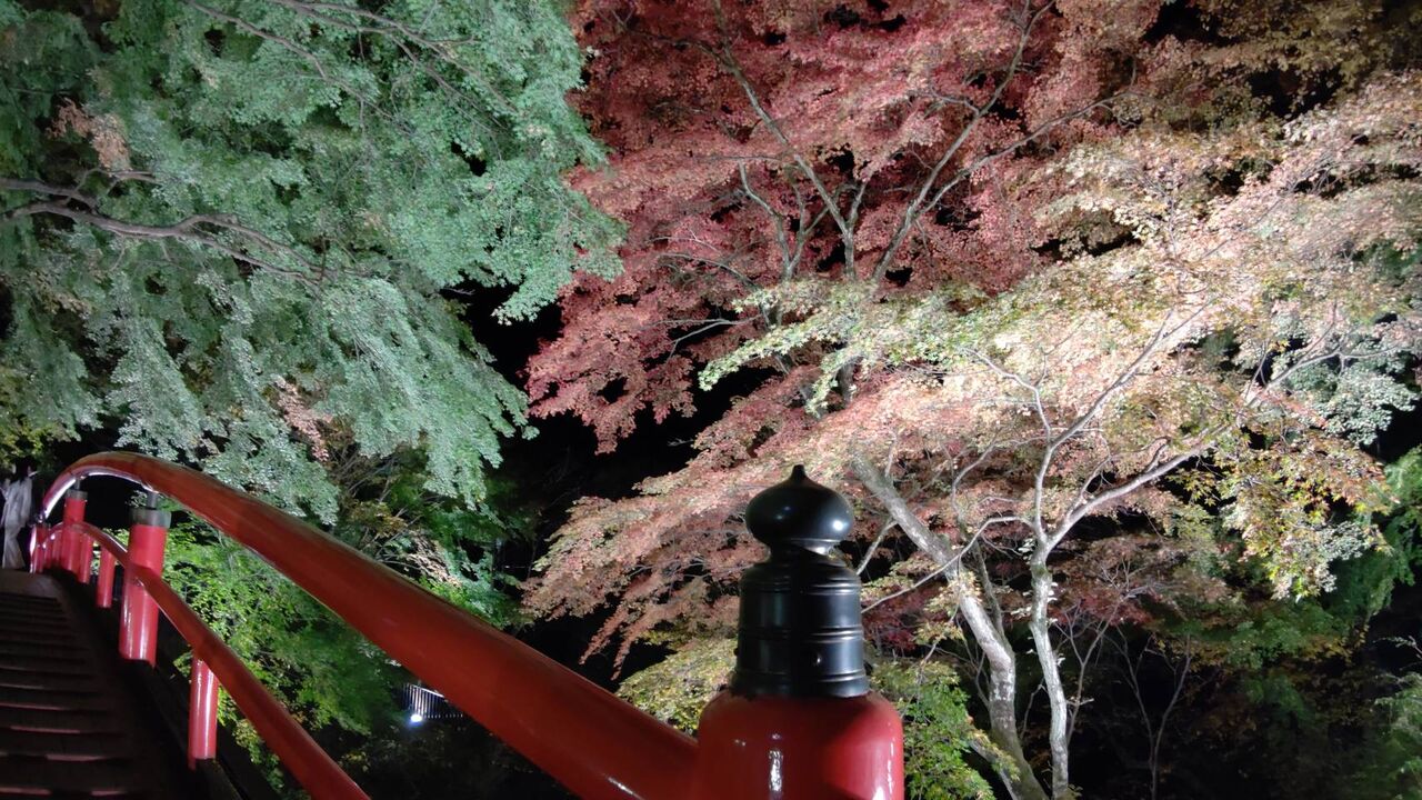 紅葉ライトアップスタート 河鹿橋 伊香保温泉 ホテル松本楼 公式ブログ