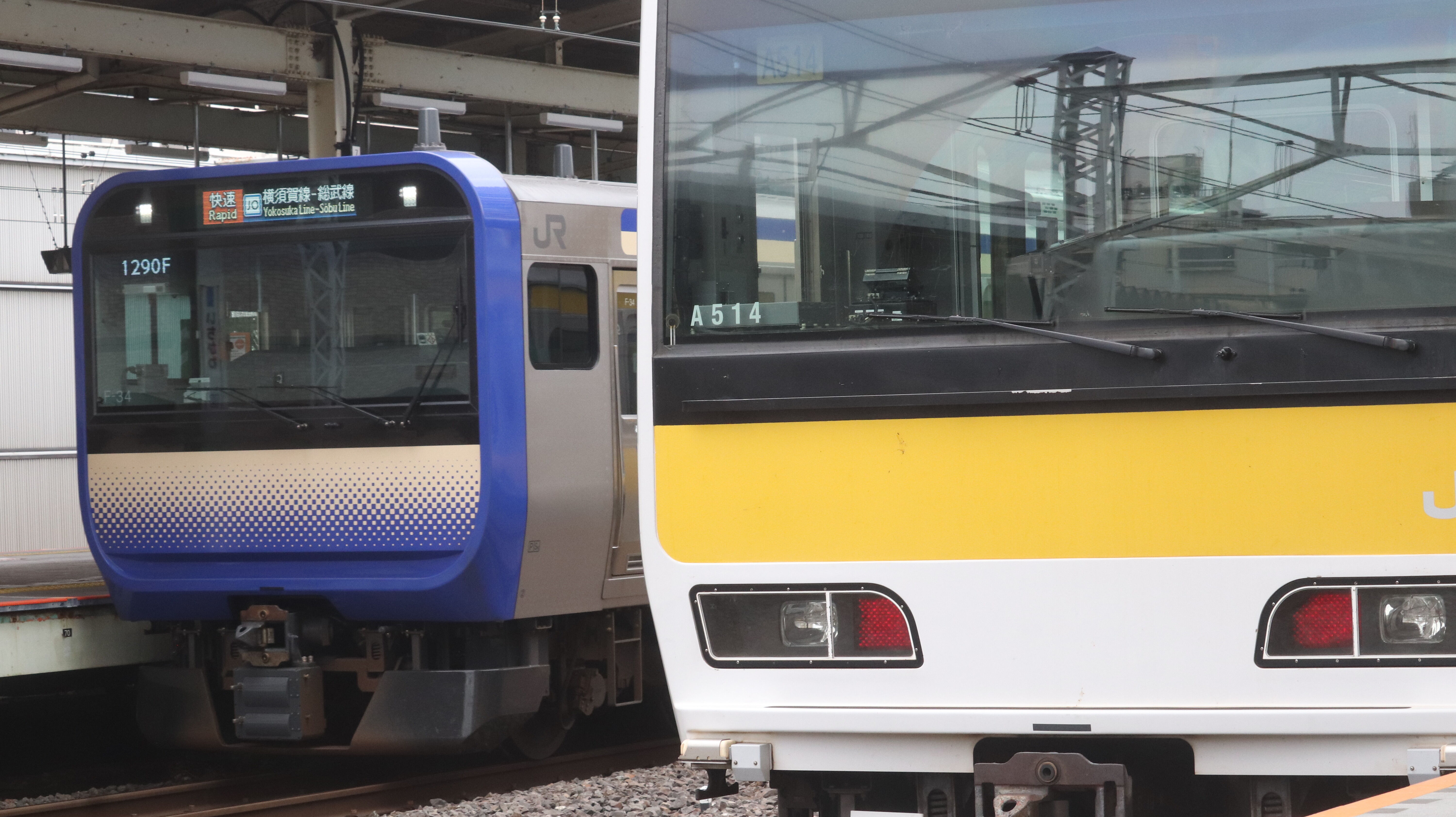 横須賀・総武快速線E217系・E235系付属編成(4両)動向 2024年10月