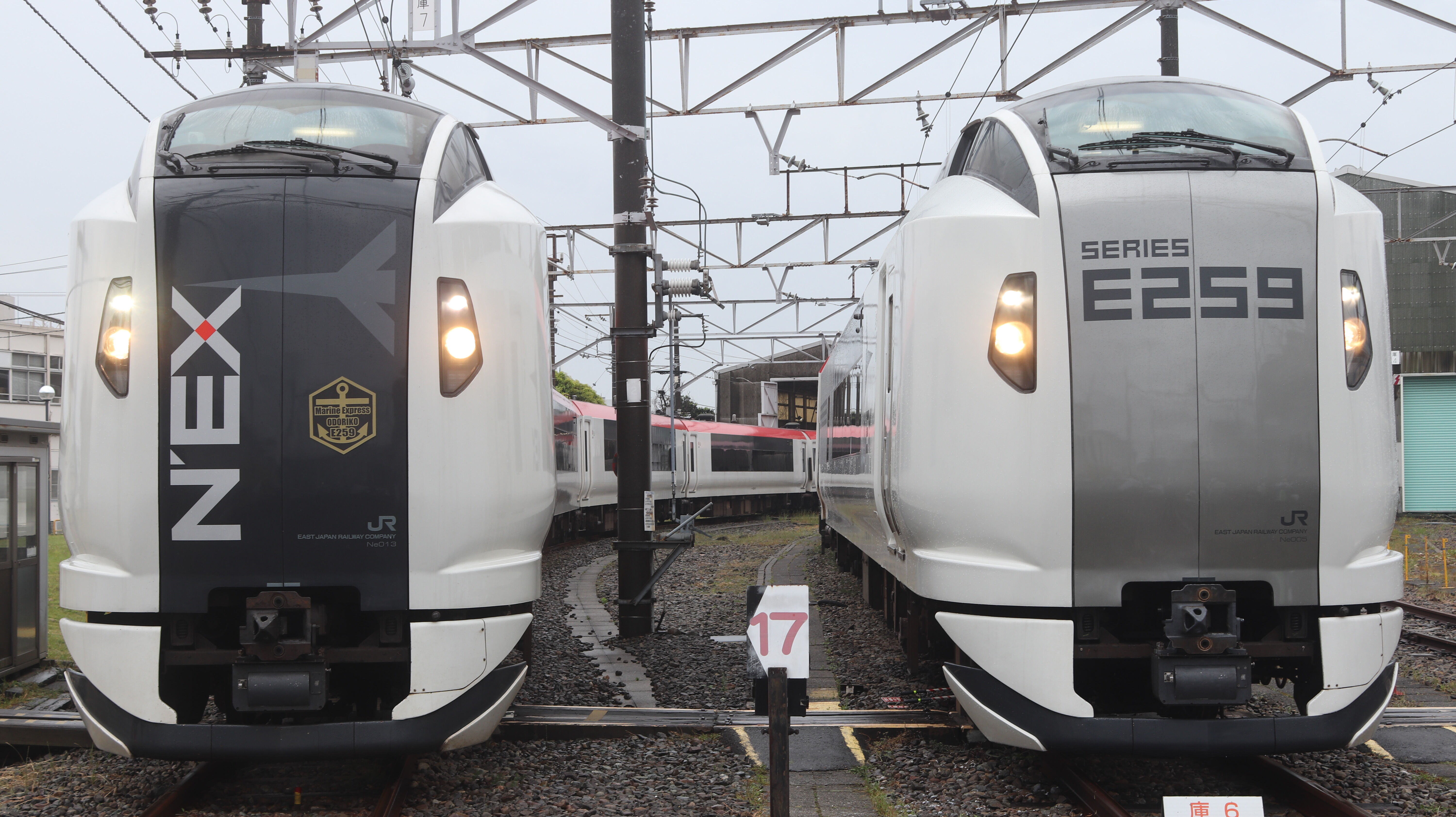 成田エクスプレス E259系 全編成一覧 : 松の木の鉄日常を綴る