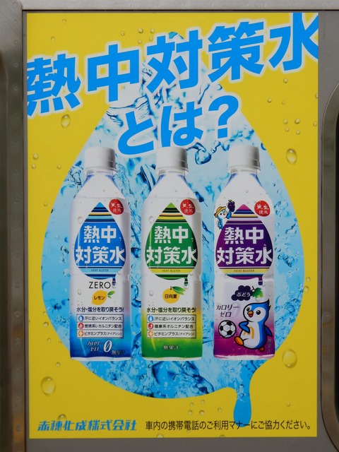 DSCN6048