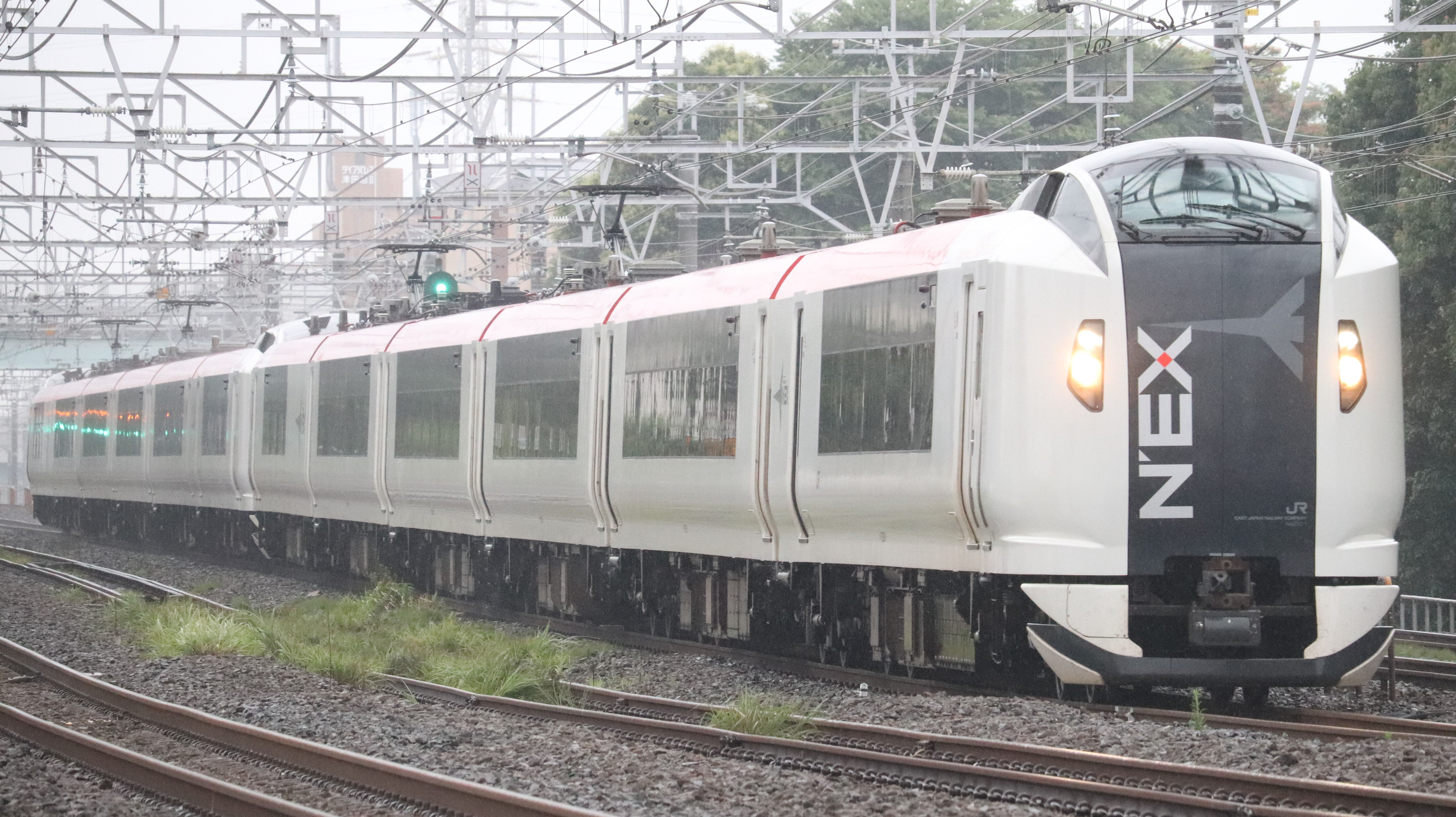 成田エクスプレス E259系 全編成一覧 : 松の木の鉄日常を綴る