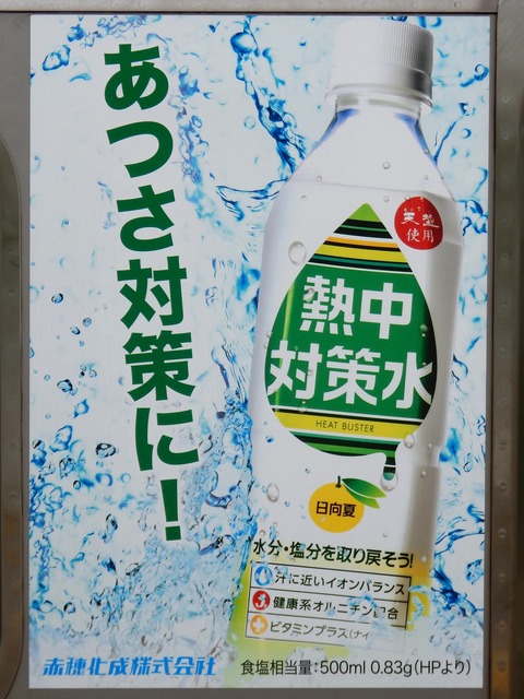 DSCN6047