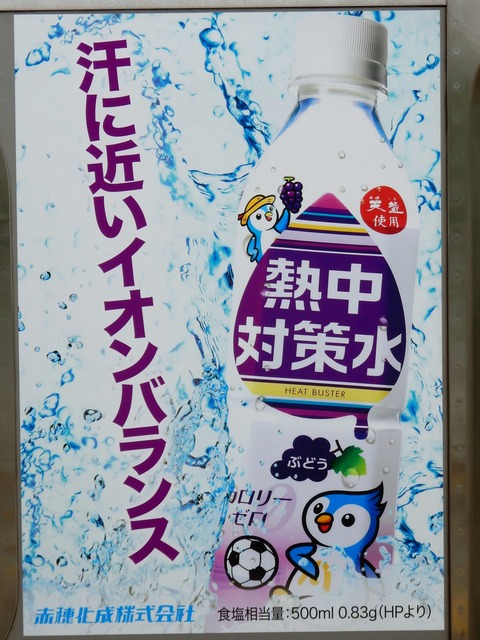 DSCN6049