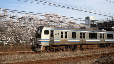 横須賀・総武快速線E217系・E235系基本編成(11両)動向 2024年5月版