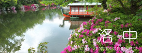 洛中アイコン-800