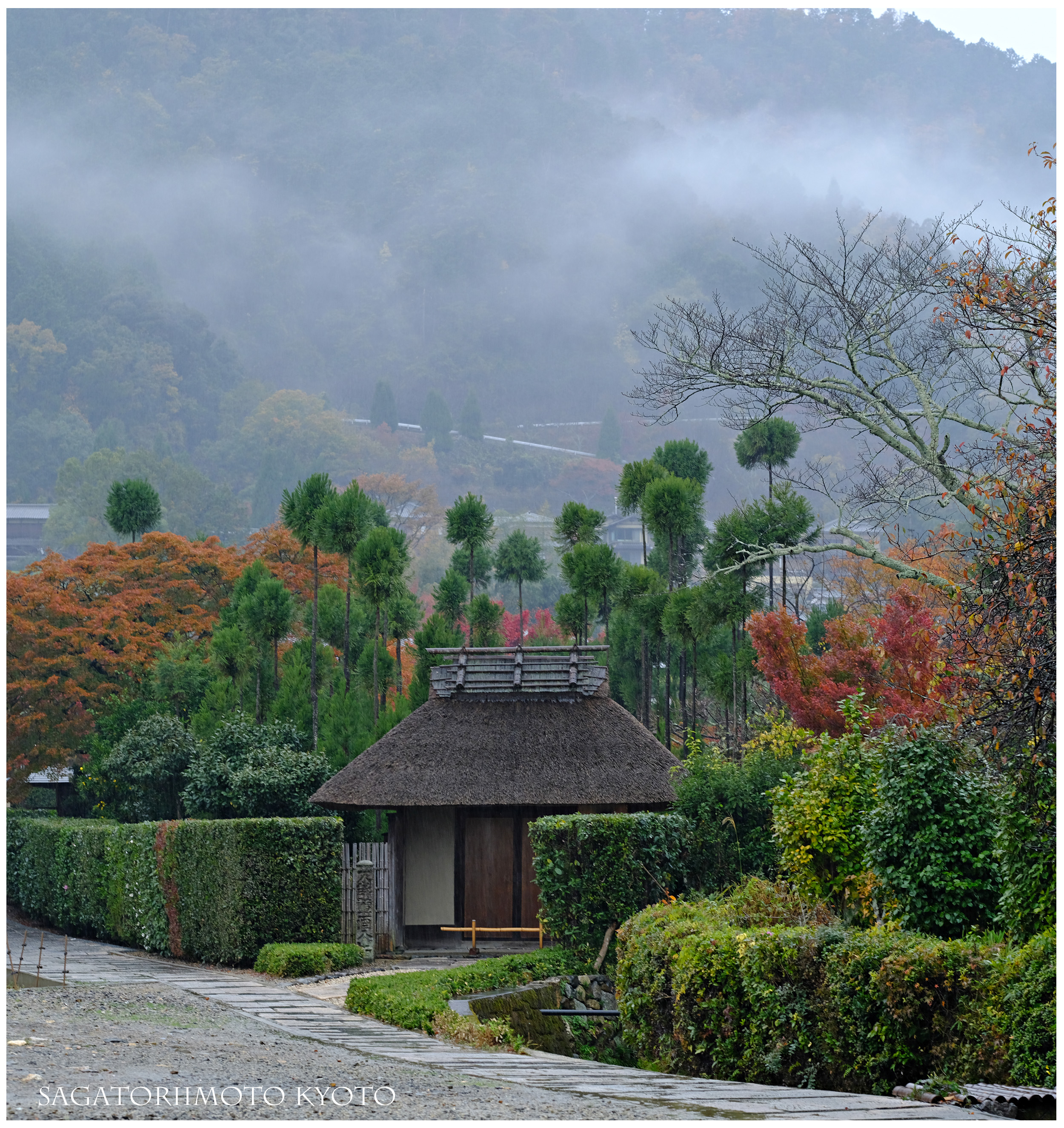 嵯峨町