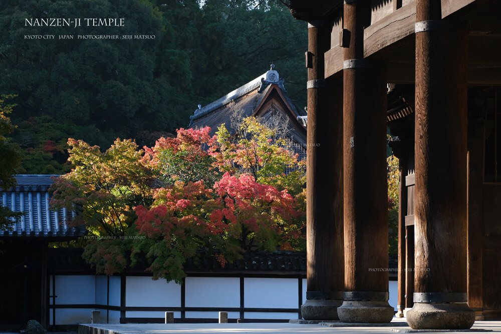 A-2024111304-南禅寺DSCF8648